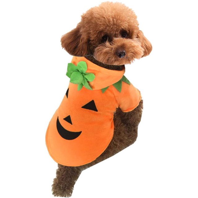 Disfraz de calabaza de Halloween para perro y gato (S)