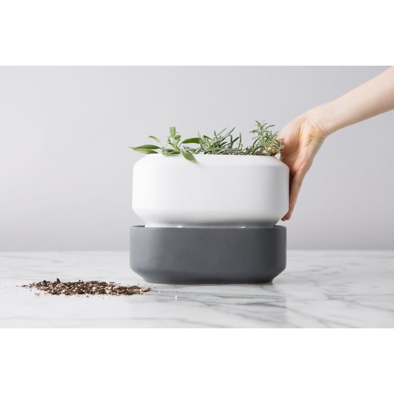 Chef'n Large Self Watering Herb Planter - Ceramic - Walmart.com