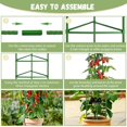 thumbnail image 4 of Soporte para plantas Legigo, jaula para tomates de 1,6 m, paquete de 4 estacas, 4 of 8