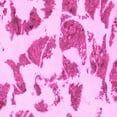 thumbnail image 1 of Ahgly Company Indoor Square Abstract Pink Modern Area Rugs, 7' Square, 1 of 4