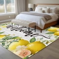 thumbnail image 4 of 5'x8' Area Rugs, Lemon Farmhouse Indoor Outdoor Area Rug for Living Room Bedroom, Summer Fruit Botanical Grey Wooden Washable Bathroom Rugs Kitchen Floor Carpet Mats Home Decor Aesthetic, 4 of 8