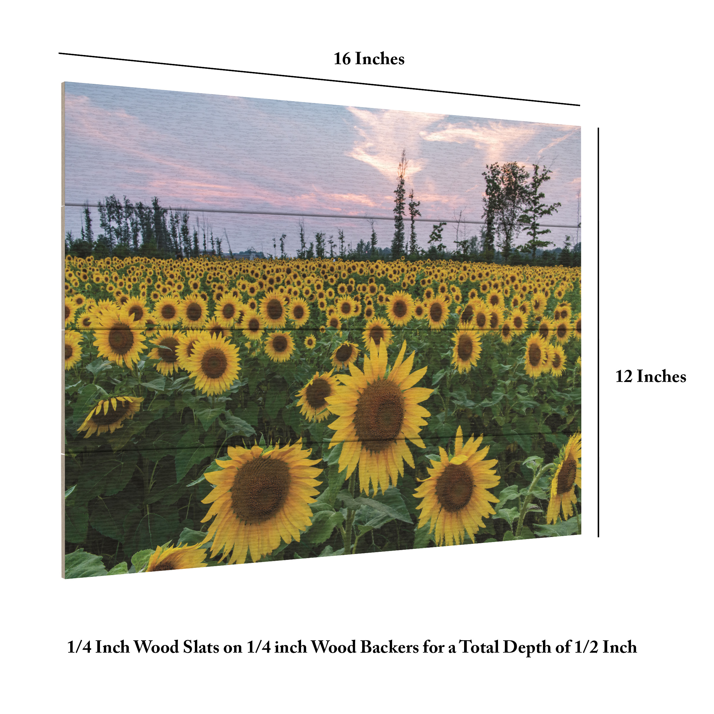 Kurt Shaffer 'Sunflowers Of Hope' Wood Slat Art 12x16