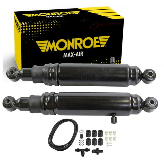 Rear Shock Absorber compatible with Ford F-150 2009-2014