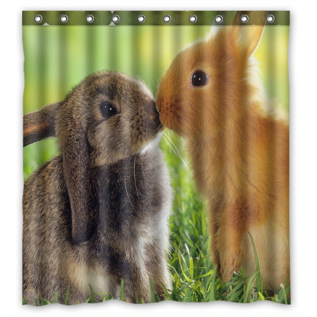 GCKG Fluffy Bunny Rabbits Waterproof Polyester Shower Curtain Bathroom Deco 66x72 inches