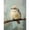 Bird, variant on BYGFHLYW Diamond Painting Kits for Unisex Adults, Witchy Black Cat Magic Potion Bottle Art Craft Gem Painting, Home Decor & Relaxation Art, 16×12 Inch