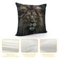 thumbnail image 4 of Orinice Lion Graphic Decorative Throw Pillow Cover for Home Couch Living Room Bed Sofa - Short Plush Material - 1PC 20x20in, 4 of 5