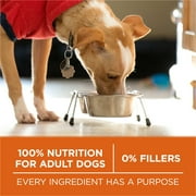 Purina ONE Plus Healthy Weight Dog Food Dry Formula, 8 lb.