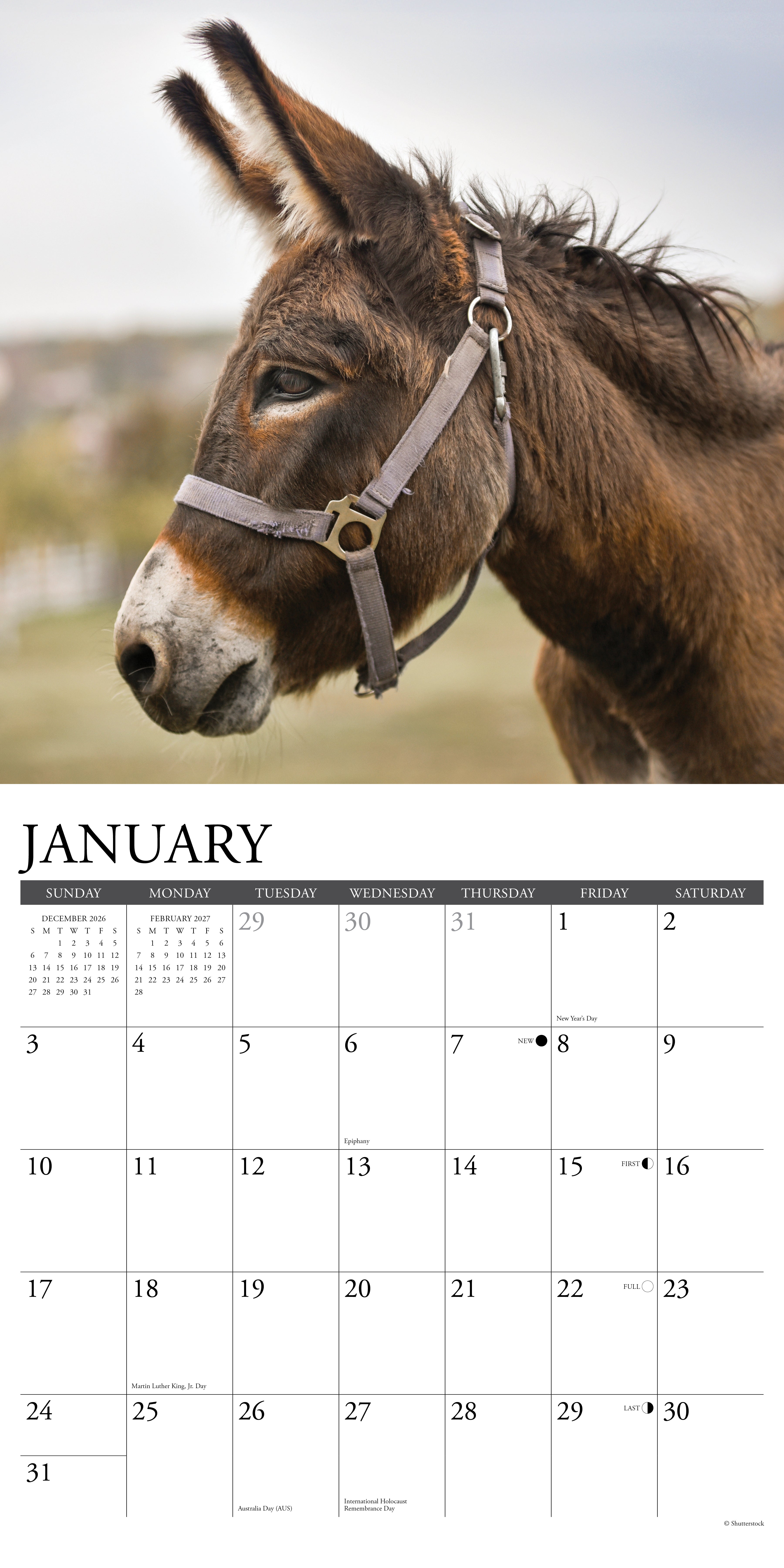 Willow Creek Press, Donkeys 2027 Wall Calendar