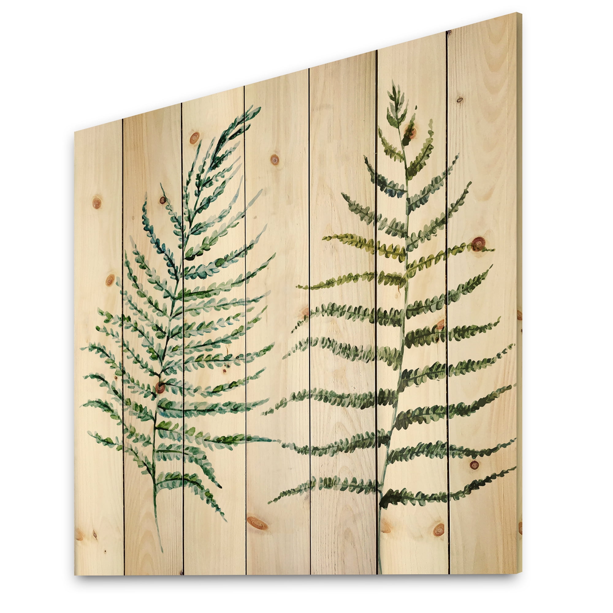 Designart 'Two Fern Leaves On White' Farmhouse Print on Natural Pine Wood