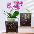 thumbnail image 3 of Flowerpot Acrylic Transparent Orchid Planter Breathable Hydrophobic Bottom Drainage Plant Pot Tuber Growth Planter, 3 of 8
