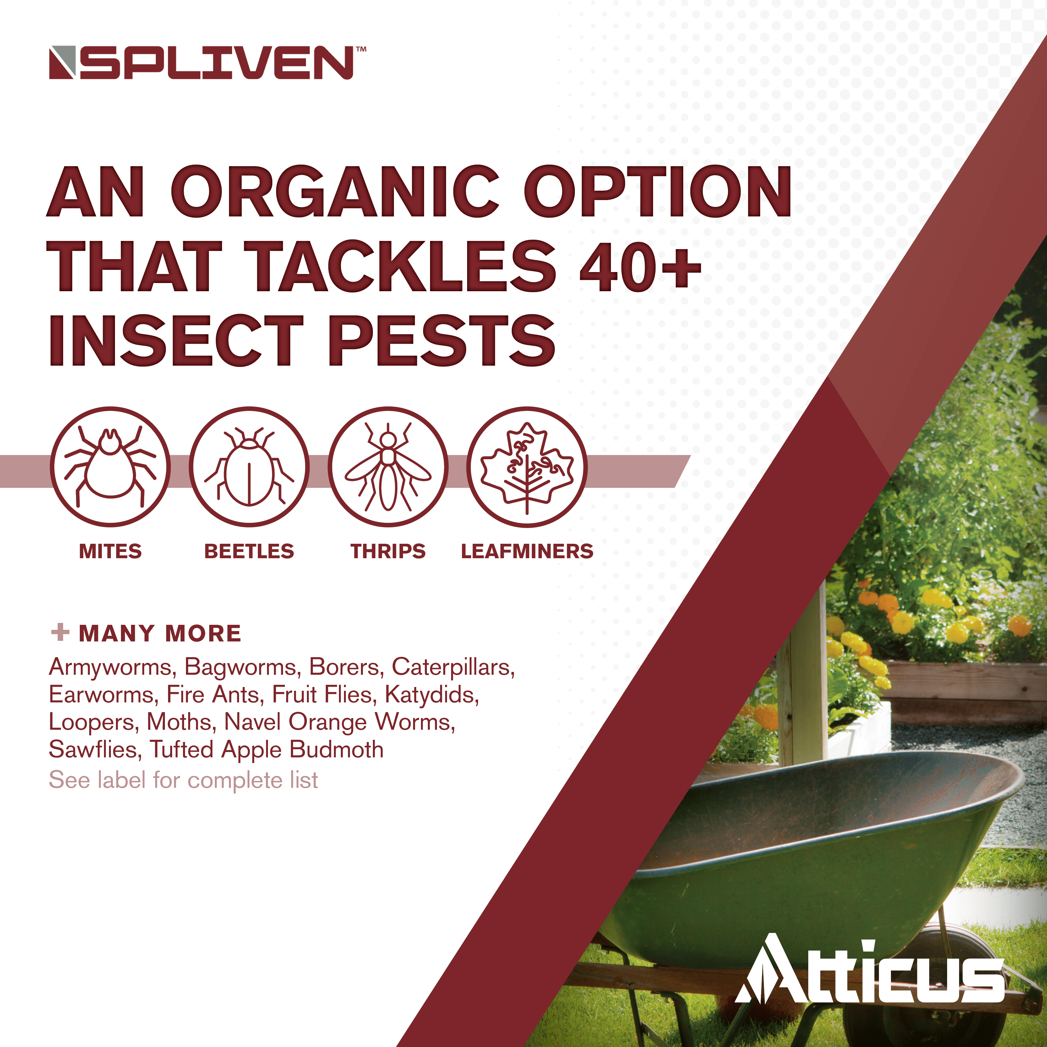 Spliven Insecticide for Organic Gardening (32 OZ) - 0.5% Spinosad Concentrate - Controls Over 40 Common Garden Pests
