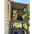 Catio Outdoor Cat House Wooden Cat Enclosure Resting Box with 3