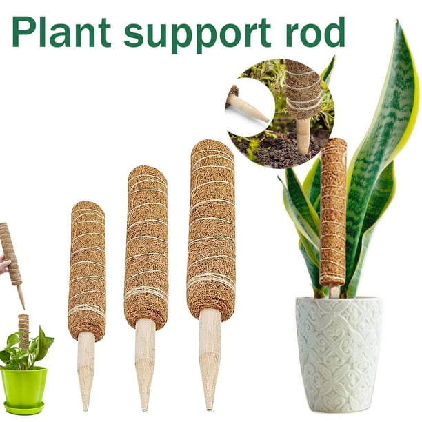 Moss Pole 2-Pack  Bâtons de mousse pour plantes grimpantes