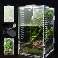 thumbnail image 6 of Acrylic Jumping Spider Habitat & Insect Terrarium - Enclosures for Praying Mantises, Frogs & Small Bugs, 6 of 6