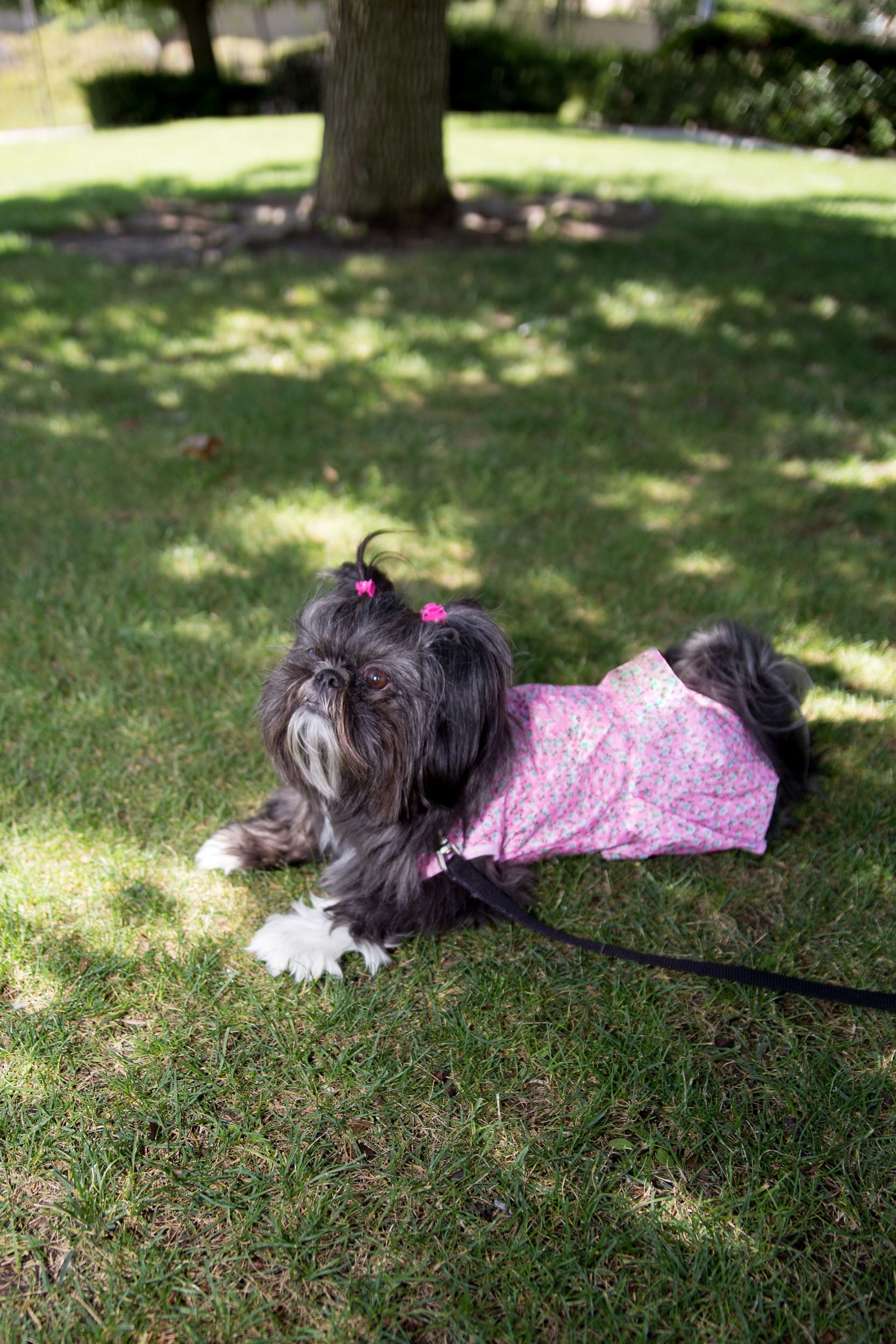 Pink Floral Dog Dress – Lightweight Everyday Outfit for Small Breed Dogs & Puppies – Multiple Sizes Available