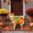 thumbnail image 6 of Funny Halloween Pumpkin Sling‑Style Pet Costume, Cosplay Outfit for Small Medium Dogs & Cats Holiday Party Wear, 6 of 9
