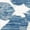 Gray/Light Blue, variant on Safavieh Evoke Pavel Floral Area Rug, Gray/Light Blue, 3' x 3' Round