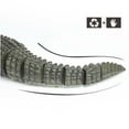thumbnail image 2 of Jouet Crocodile Télécommandé Électrique Sans Fil Drôle Animal Crocodile Rampant RC, 2 of 10
