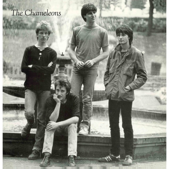 The Chameleons - TONY FLETCHER - Music & Performance - Vinyl