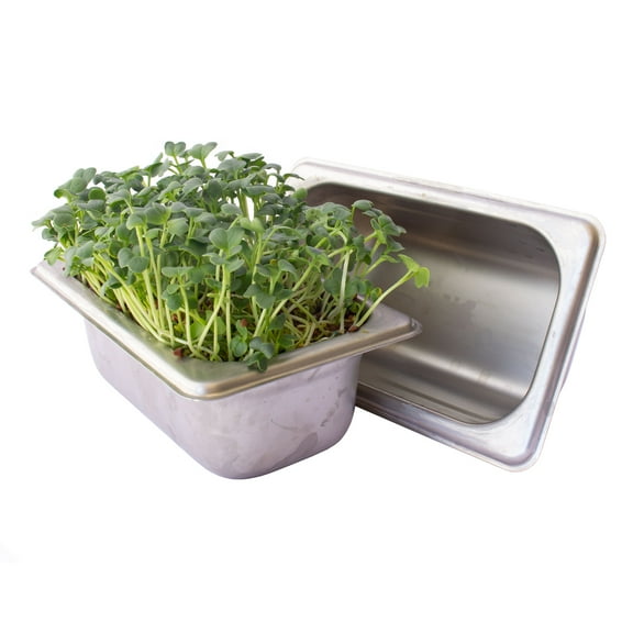 Trellis   Co. Stainless Steel Hydroponic Microgreens Growing Kit - Infinitely Reusable Hydroponic Kit for Microgreen Seeds & Wheatgrass Seeds - Easy Soil-Free Sprouting System for your Indoor Garden