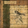 thumbnail image 3 of Slocum, Nancy 20x20 Black Modern Framed Museum Art Print Titled - Bird Melody I, 3 of 5