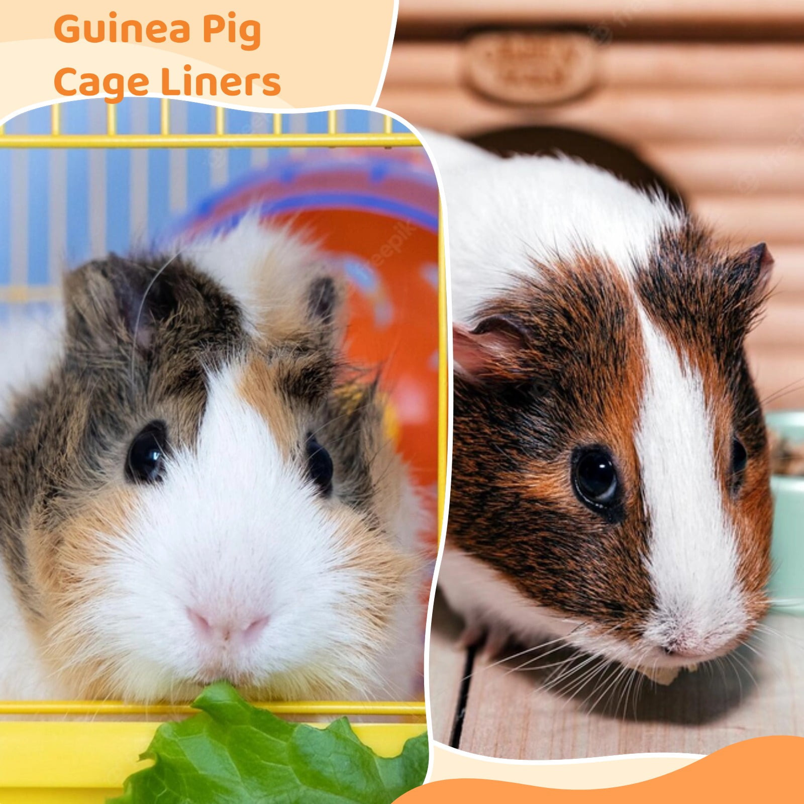 minkissy 2 Stks Hamster plas pad hond krat liner lade plastic chinchilla kooi liner hamster bodem mat hamsters urine pad hamster training pad hamster luier pad konijn hamster kooi doek