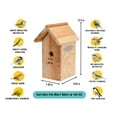 thumbnail image 2 of WiFi Battery Bird House Camera with Solar Panel, 2 of 10