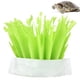 thumbnail image 4 of Caja de Escondite de Tortuga ANGGREK Humidificador de Cueva Otros, 4 of 8