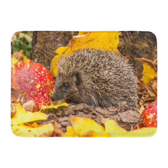 GODPOK Adult Hedgehog in Yellow Autumn Leaves with Red Toadstool Erinaceus Europaeus Wild European Animal Rug Doormat Bath Mat 23.6x15.7 inch