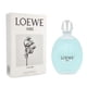 thumbnail image 1 of Loewe A Mi Aire 100 Ml Edt Spray Loewe 8426017053341 Loewe, 1 of 3