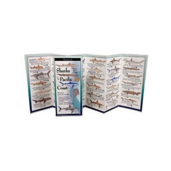 Sharks & Rays of the Pacific Coast