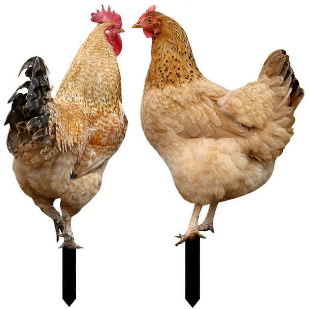 2Pcs Acrylic Yard Stakes Decorative Chicken Stake Acrylic Yard Insert Signs Lawn Stakes