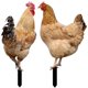 thumbnail image 1 of 2Pcs Acrylic Yard Stakes Decorative Chicken Stake Acrylic Yard Insert Signs Lawn Stakes, 1 of 2