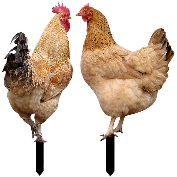2Pcs Acrylic Yard Stakes Decorative Chicken Stake Acrylic Yard Insert Signs Lawn Stakes