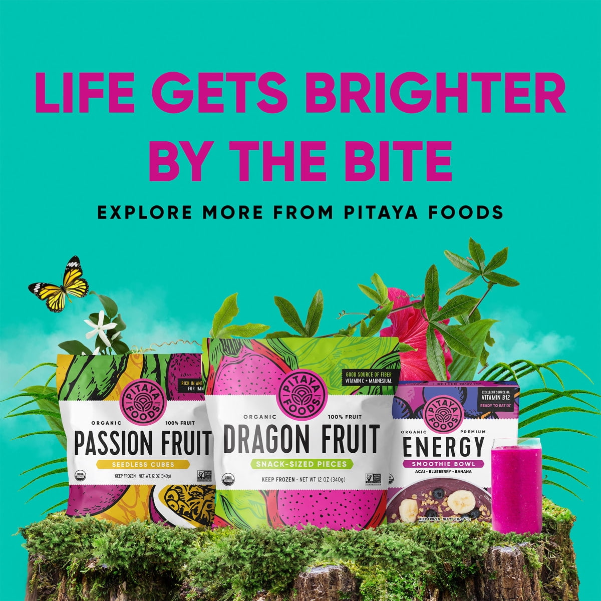 Pitaya Foods Frozen Acai Berry Pieces, Pure Unsweetened Organic Fruit, 12 oz, Gluten-Free, Vegan