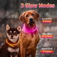thumbnail image 3 of Miaocao 2 Packs Light Up Dog Collar, LED Dog Collar, USB Rechargeable Dog Lights for Night Walking, Adjustable Glow in The Dark Collars for Small Medium Large Dogs, Waterproof Safety Pets Lights, 3 of 6