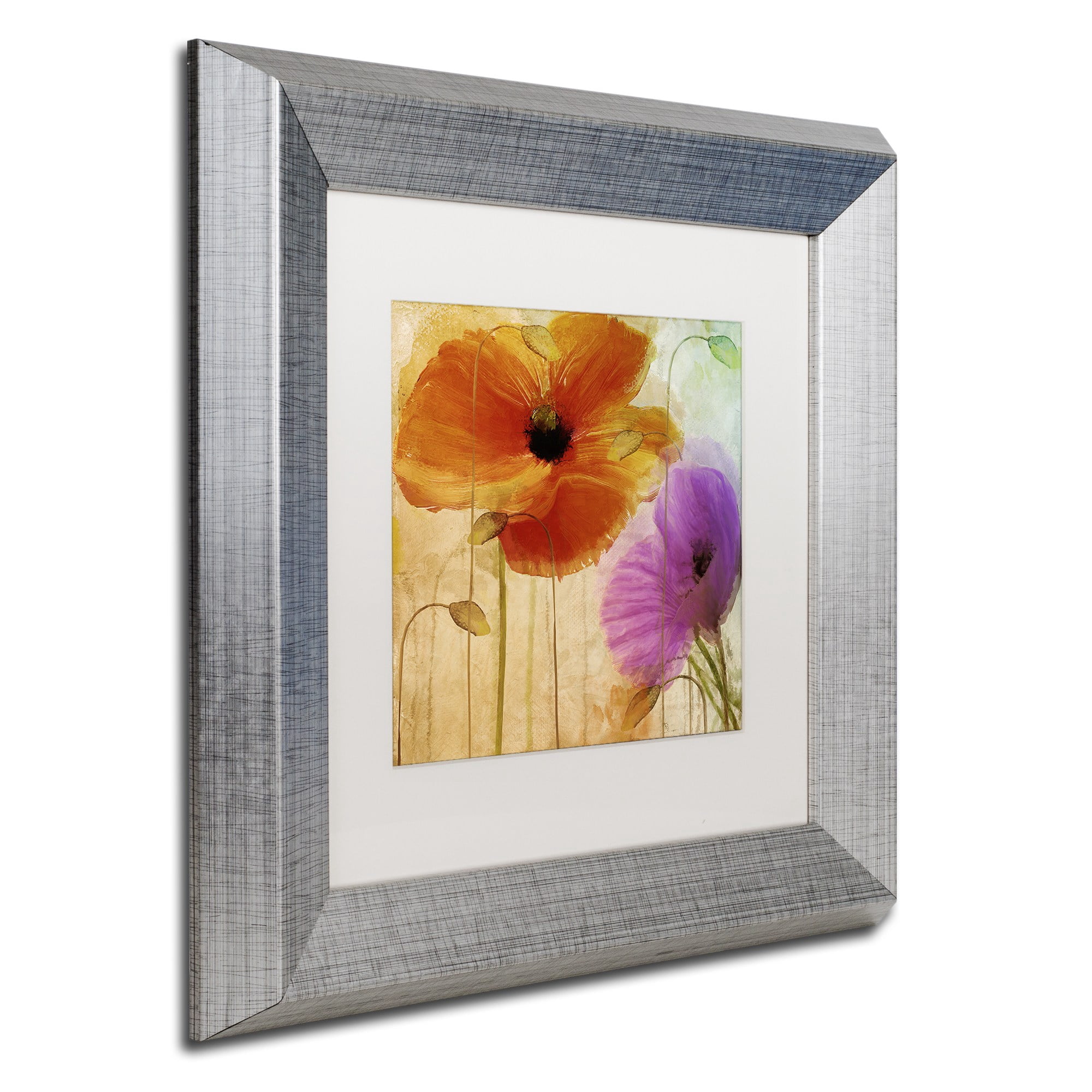 Trademark Fine Art "Penchant For Poppies II" Canvas Art by Color Bakery White Matte, Silver Frame