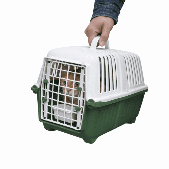 Transportadora para Perro y Gato con Puerta y Bebedero para Mascotas 47x31x31.8cm Ajolopet Color Verde