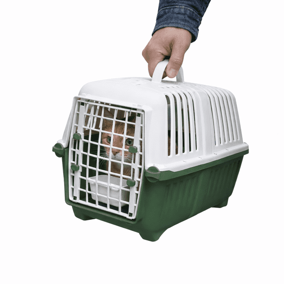 Transportadora para Perro y Gato con Puerta y Bebedero para Mascotas 47x31x31.8cm Ajolopet Color Verde