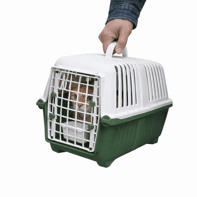 Transportadora para Perro y Gato con Puerta y Bebedero para Mascotas 47x31x31.8cm Ajolopet Color Verde