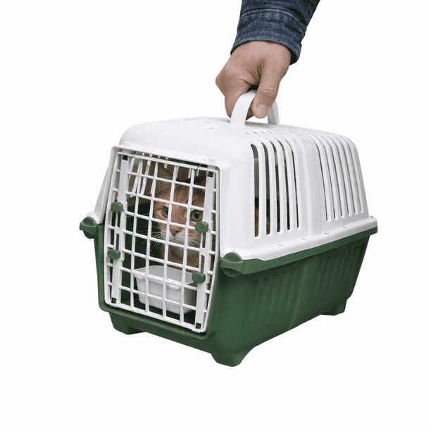 Transportadora para Perro y Gato con Puerta y Bebedero para Mascotas 47x31x31.8cm Ajolopet Color Verde