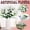 White, variant on Realistic Decorative Floral Stems Artificial Spring Camellia Flower Plastic Material Flower for Wedding & Home Vase Arrangements, Perfect for Bridal & All-Season Decor White 1Pcs