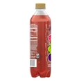 Splash Fizz, Raspberry Blackberry Flavor Sparkling Water Beverage, 20