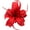 Red, variant on ragnaroc 2-4" Red Tillandsia Xerographica Pup Live Plants