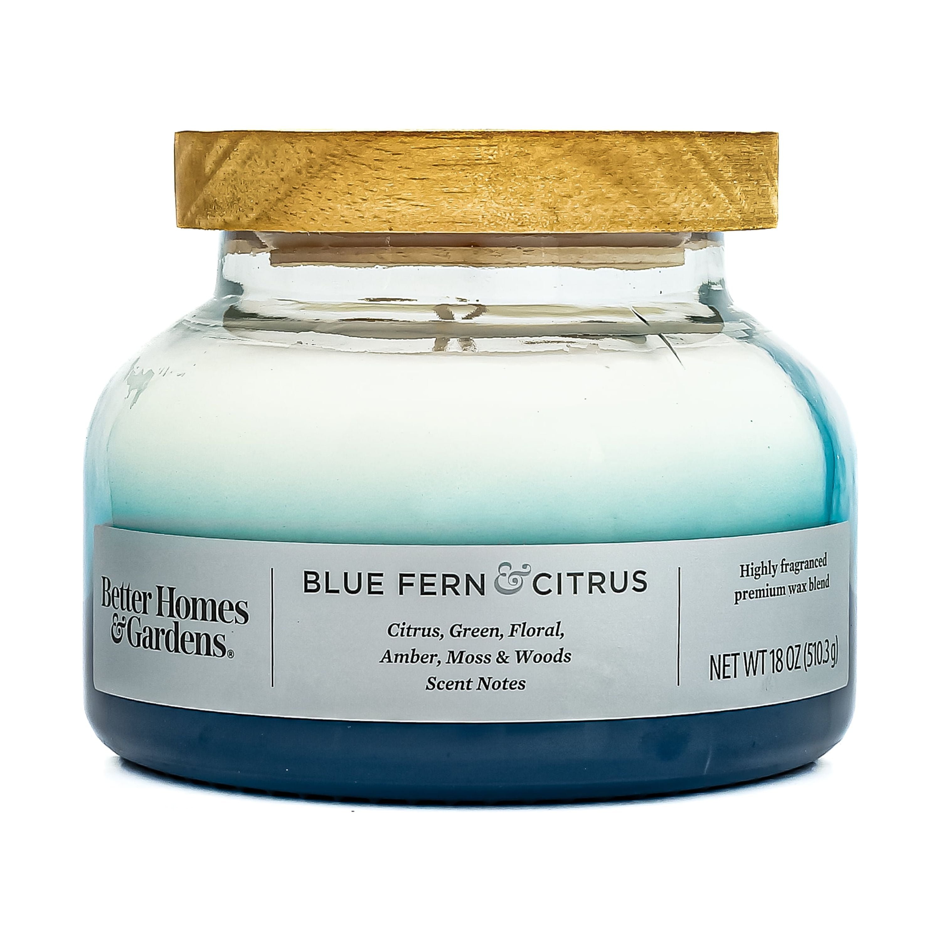 (4 pack) Better Homes & Gardens Blue Fern & Citrus Scented 2-Wick 18oz Ombre Bell Jar Candle