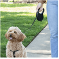 thumbnail image 3 of Husky Dog Leash in Black, 3 of 4