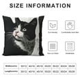 thumbnail image 3 of Cat Pillow Case Funny Gift for Cat Lovers Cat Mom Gifts Crazy Cat Lady Gifts for Women Cat Decor, It's Not Cat Hair It's Kitty Glitter,Pillow Covers for Sofa Couch Bed Home Decor, 3 of 5