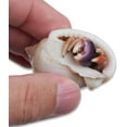 thumbnail image 4 of 2 Live Crabs Ship with Order+Large Hermit Crab Tank 12"x8"x6" Starter Kit with Accessories: Food, Shells, Climbing Toys and More, 4 of 5