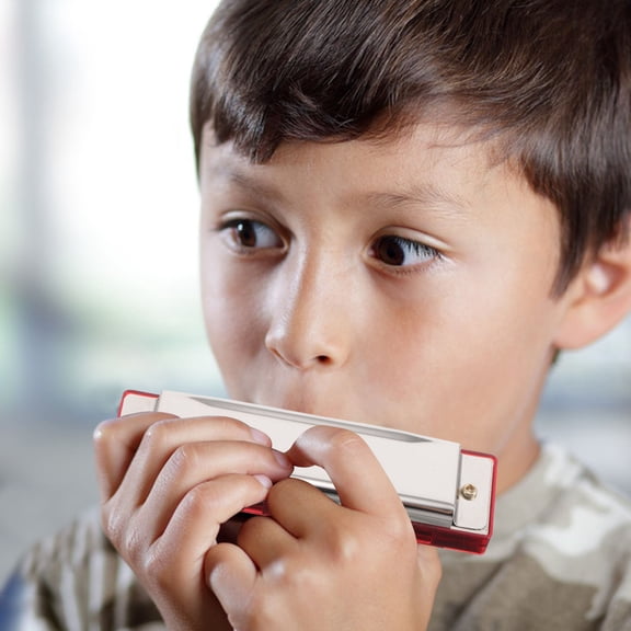 WRISTBIQUE Professional Red Metal Harmonica with 10 Holes 20 Tones Portable Storage Case for Beginners and Adults