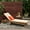 Teak Finish + Cream, variant on Tevion Outdoor Teak Acacia Wood Chaise Lounge and Rust Orange Cushion Set